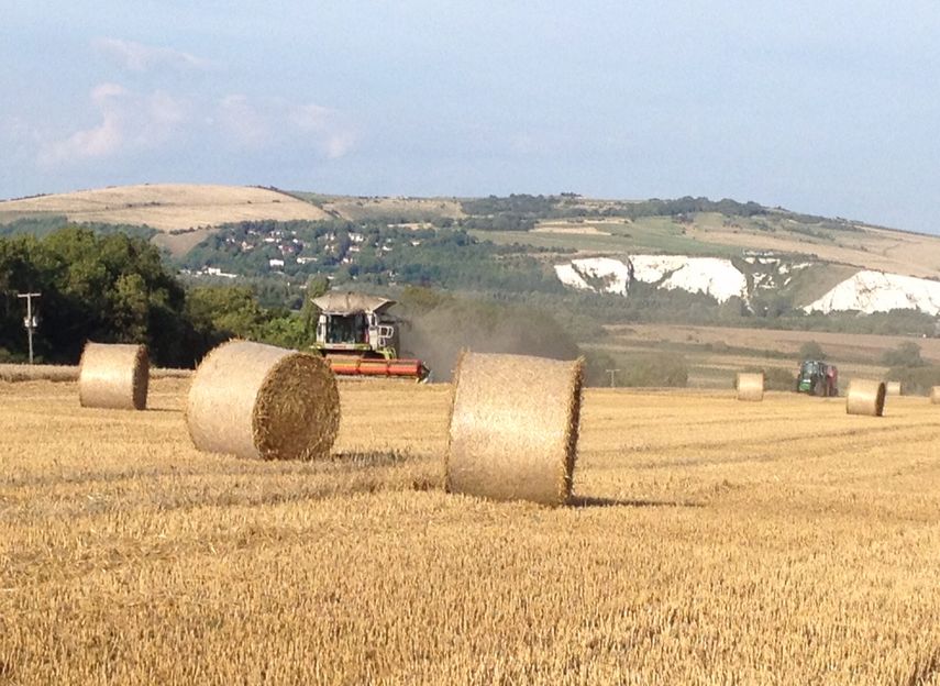 Iford Estate Sussex